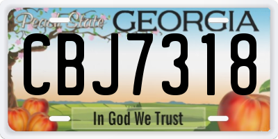 GA license plate CBJ7318