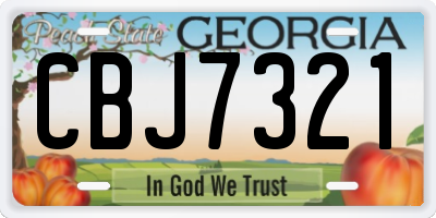 GA license plate CBJ7321