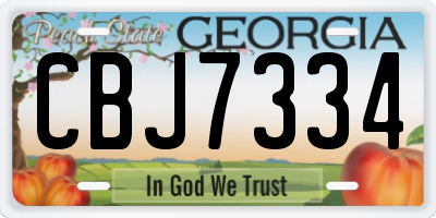 GA license plate CBJ7334