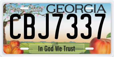 GA license plate CBJ7337