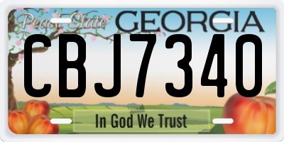 GA license plate CBJ7340
