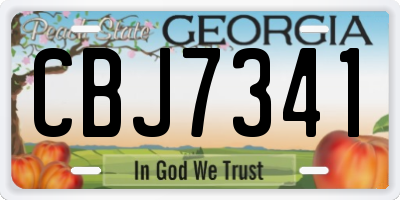 GA license plate CBJ7341