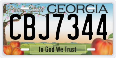 GA license plate CBJ7344