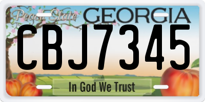 GA license plate CBJ7345