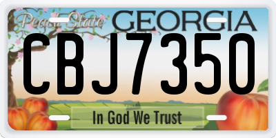 GA license plate CBJ7350