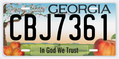 GA license plate CBJ7361