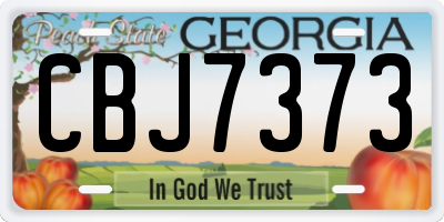 GA license plate CBJ7373