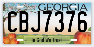 GA license plate CBJ7376
