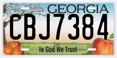 GA license plate CBJ7384