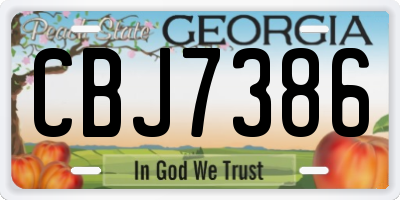 GA license plate CBJ7386