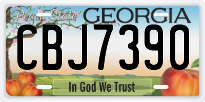 GA license plate CBJ7390
