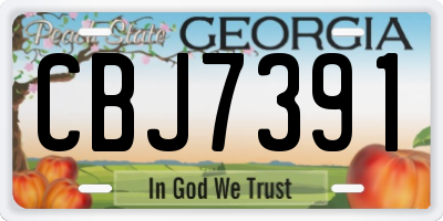 GA license plate CBJ7391