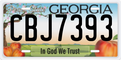 GA license plate CBJ7393