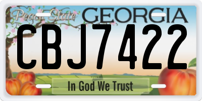 GA license plate CBJ7422