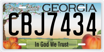 GA license plate CBJ7434