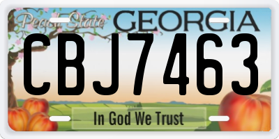 GA license plate CBJ7463