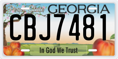 GA license plate CBJ7481