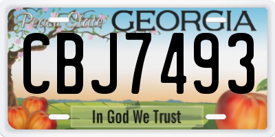 GA license plate CBJ7493