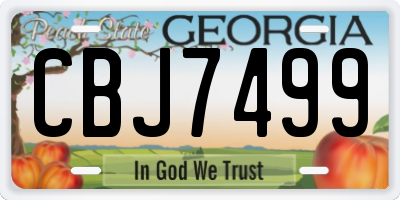 GA license plate CBJ7499