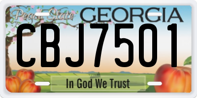 GA license plate CBJ7501