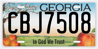 GA license plate CBJ7508