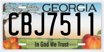 GA license plate CBJ7511