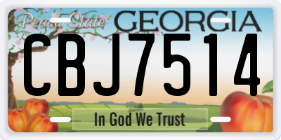 GA license plate CBJ7514