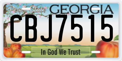 GA license plate CBJ7515
