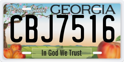 GA license plate CBJ7516