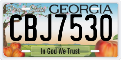 GA license plate CBJ7530