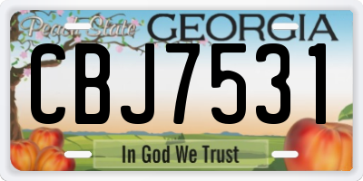 GA license plate CBJ7531