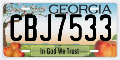 GA license plate CBJ7533