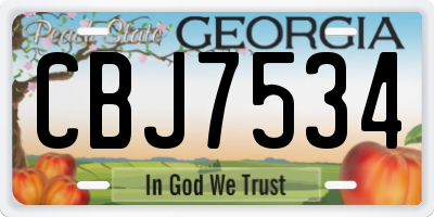 GA license plate CBJ7534