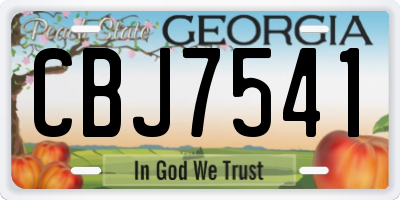 GA license plate CBJ7541