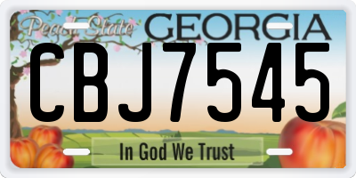 GA license plate CBJ7545