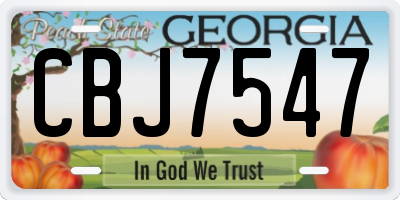 GA license plate CBJ7547