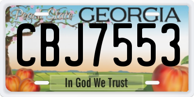 GA license plate CBJ7553
