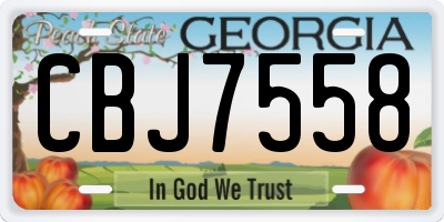 GA license plate CBJ7558