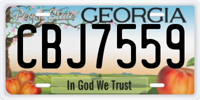 GA license plate CBJ7559