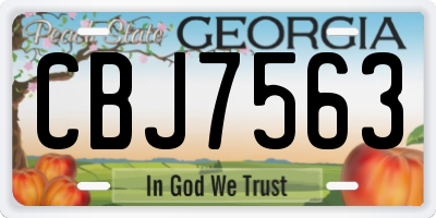 GA license plate CBJ7563