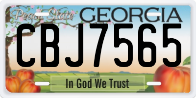 GA license plate CBJ7565