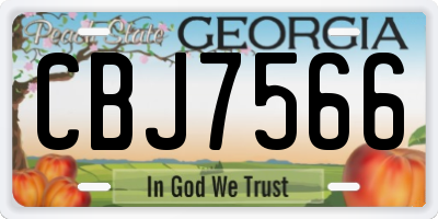 GA license plate CBJ7566