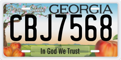 GA license plate CBJ7568