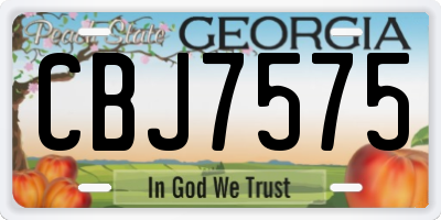 GA license plate CBJ7575