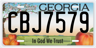 GA license plate CBJ7579