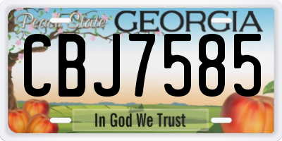 GA license plate CBJ7585
