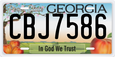 GA license plate CBJ7586