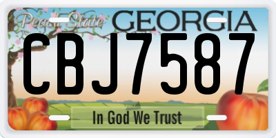 GA license plate CBJ7587