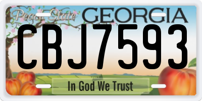 GA license plate CBJ7593