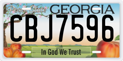GA license plate CBJ7596